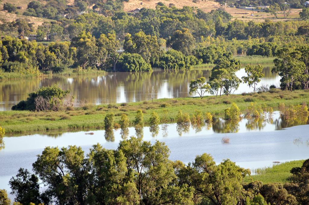 Riverview Rise Retreats Mannum Exterior photo