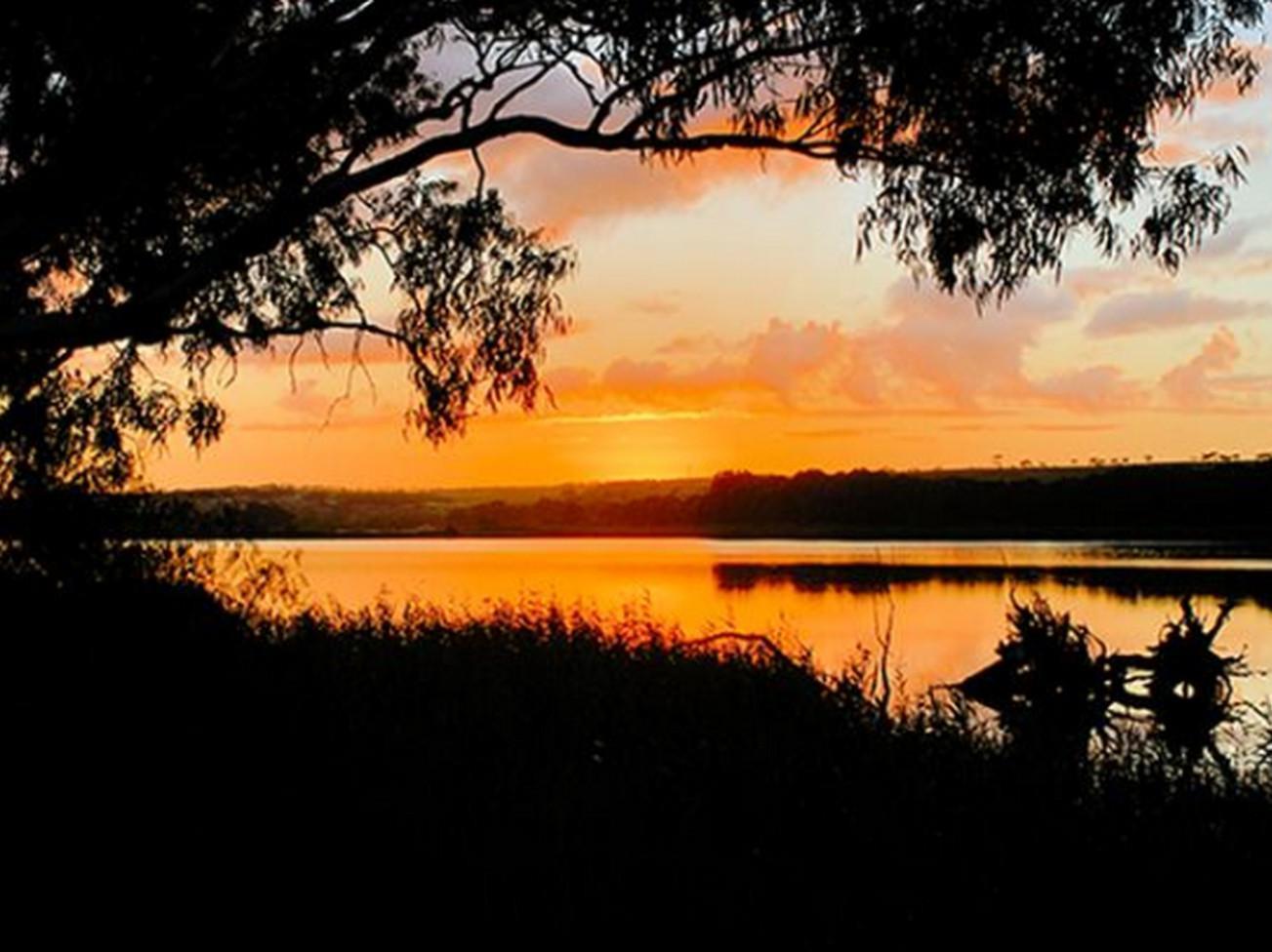 Riverview Rise Retreats Mannum Exterior photo