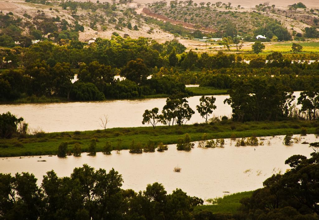 Riverview Rise Retreats Mannum Exterior photo
