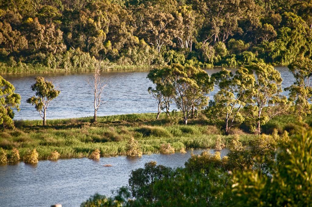 Riverview Rise Retreats Mannum Exterior photo