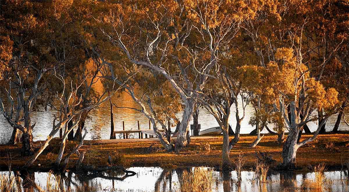 Riverview Rise Retreats Mannum Exterior photo