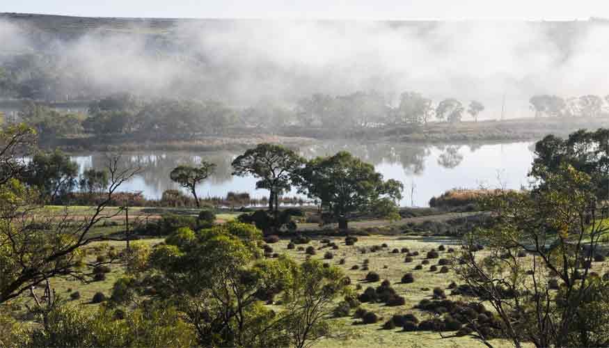 Riverview Rise Retreats Mannum Exterior photo