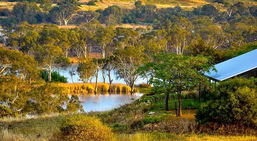 Riverview Rise Retreats Mannum Exterior photo